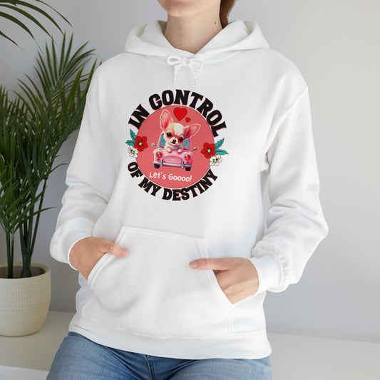 🦋 Let’s Goooo 🦋 Hoodies