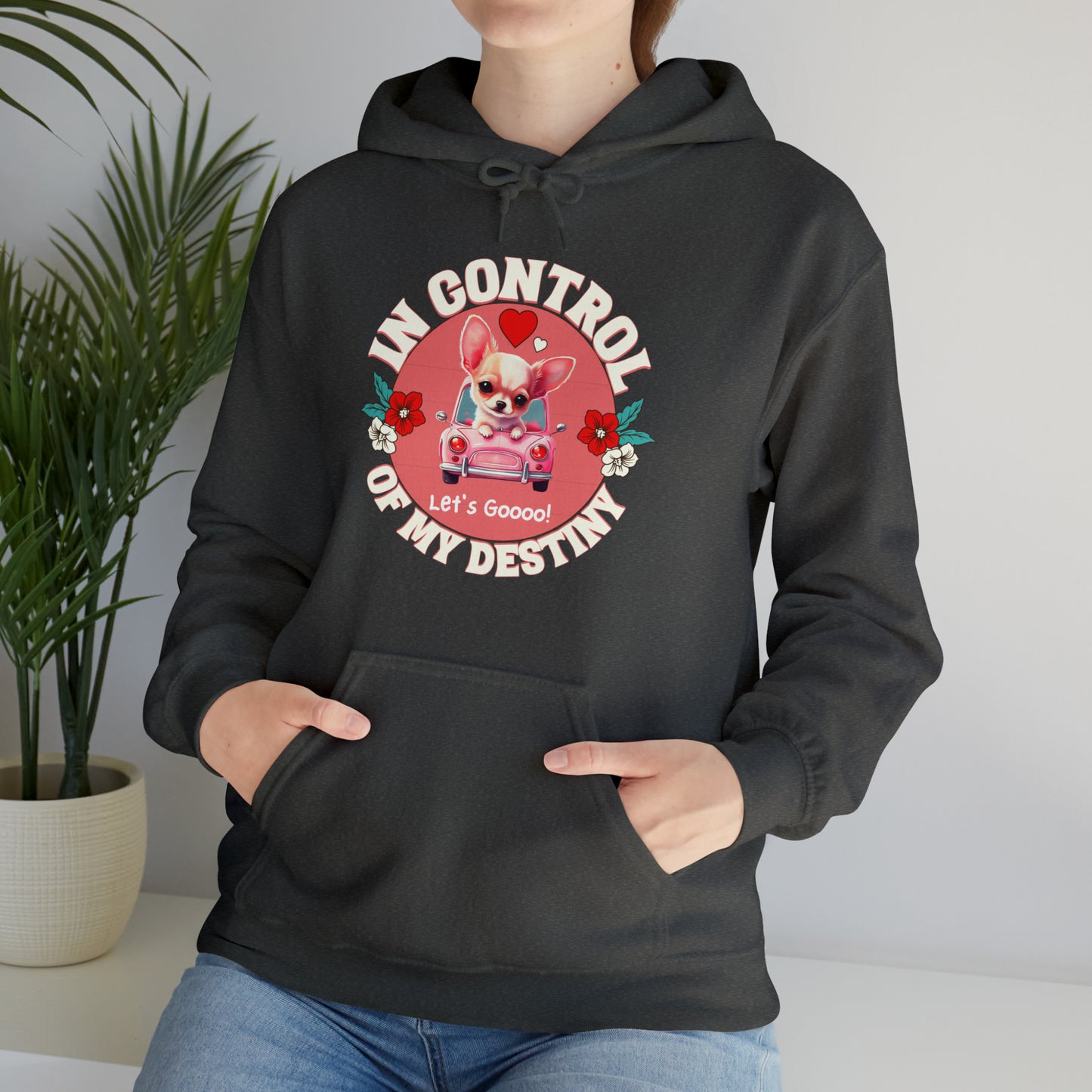 🦋 Let’s Goooo 🦋 Hoodies