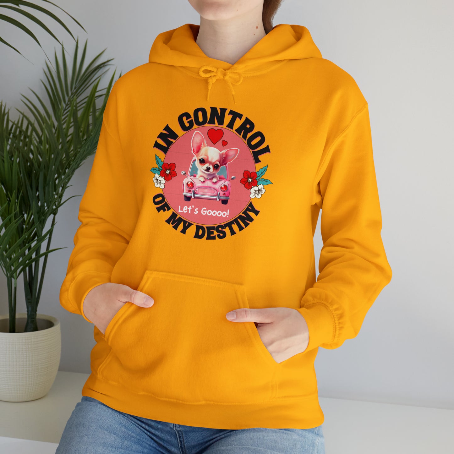 🦋 Let’s Goooo 🦋 Hoodies