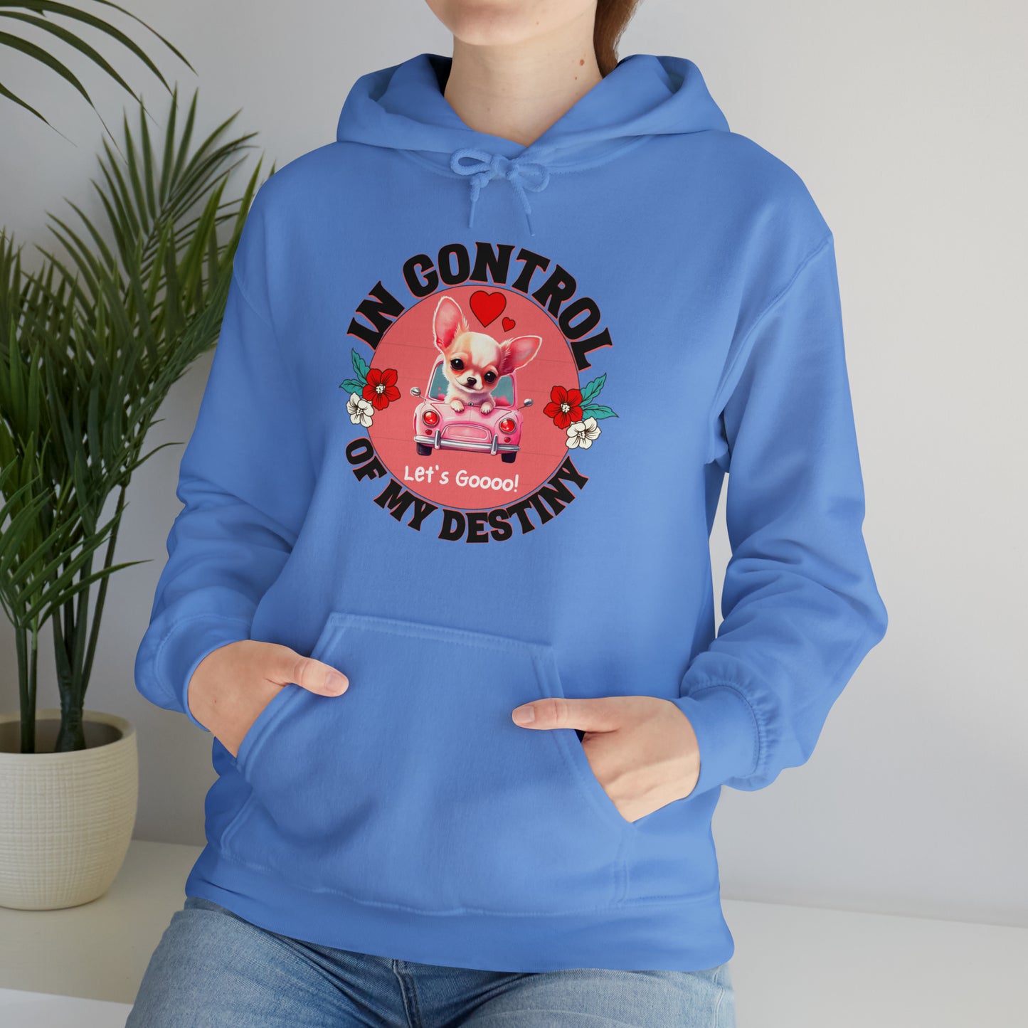 🦋 Let’s Goooo 🦋 Hoodies