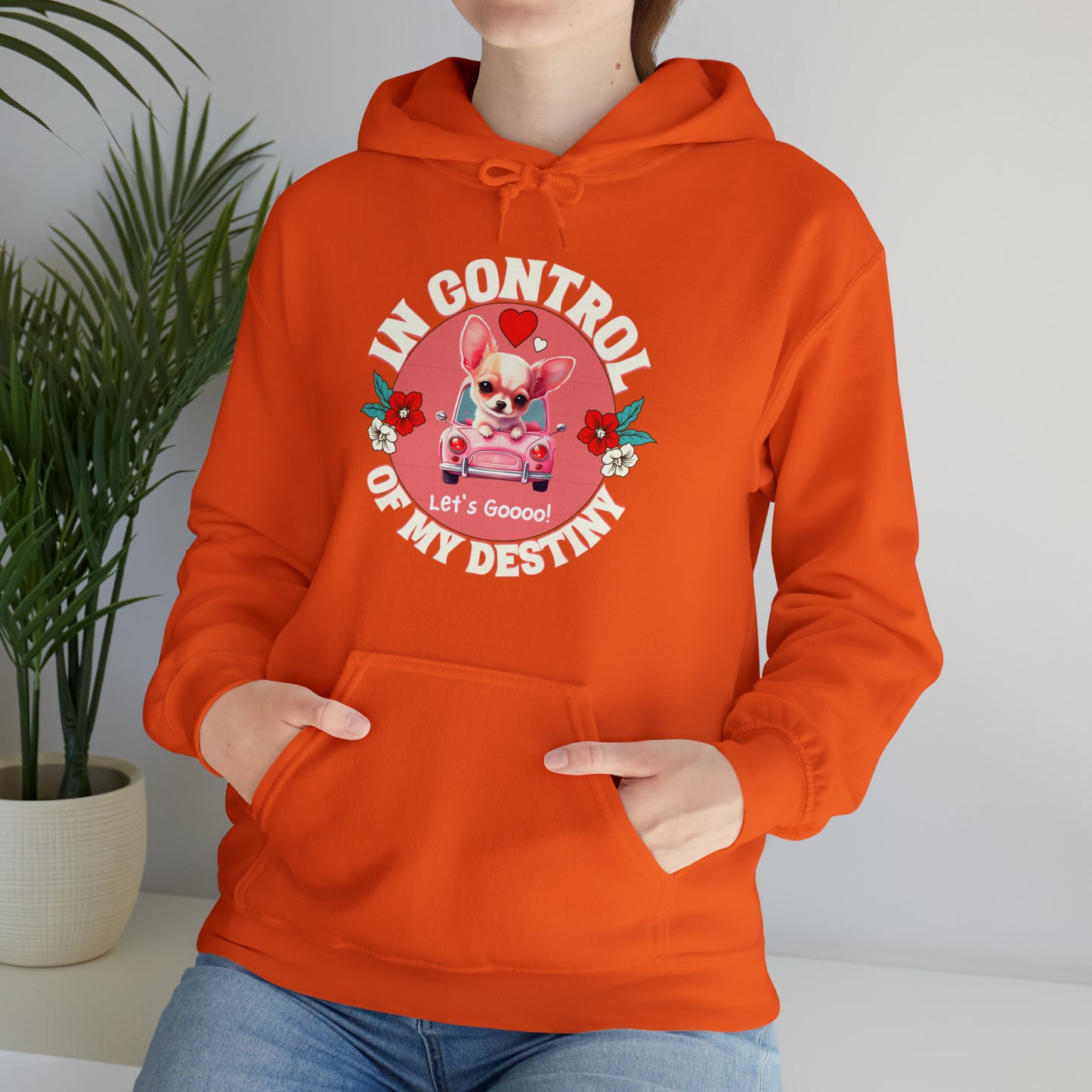 🦋 Let’s Goooo 🦋 Hoodies