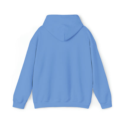 🦋 Sagittarius 🦋 Zodiac Signs- Hoodies