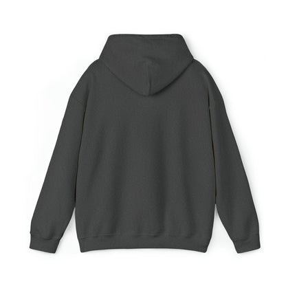 🦋 Sagittarius 🦋 Zodiac Signs- Hoodies