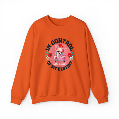 🦋 Let’s Goooo 🦋 Sweatshirts
